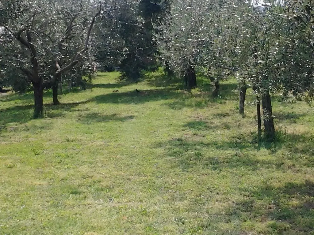 Agriturismo Corte Galvani 네그라르 0*,